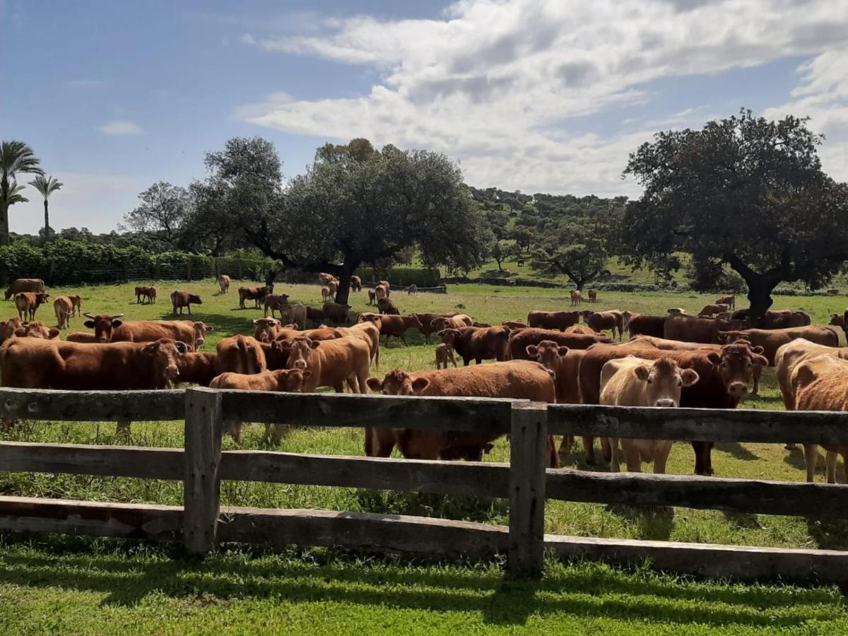 Alojamiento Rural Finca Barral El Garrobo ภายนอก รูปภาพ