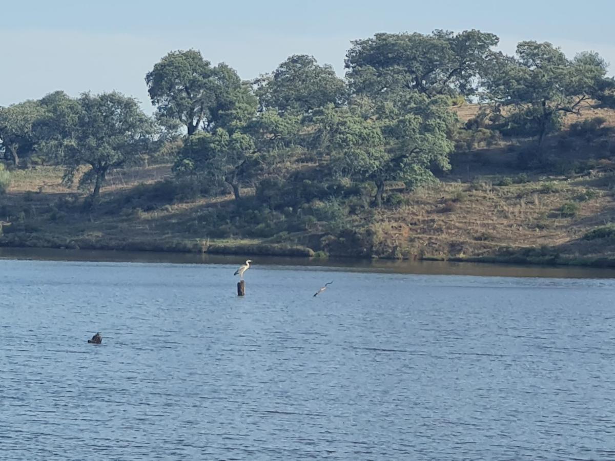 Alojamiento Rural Finca Barral El Garrobo ภายนอก รูปภาพ