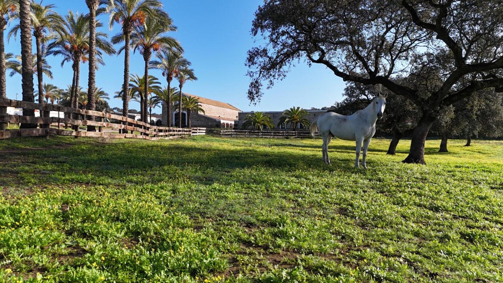 Alojamiento Rural Finca Barral El Garrobo ภายนอก รูปภาพ