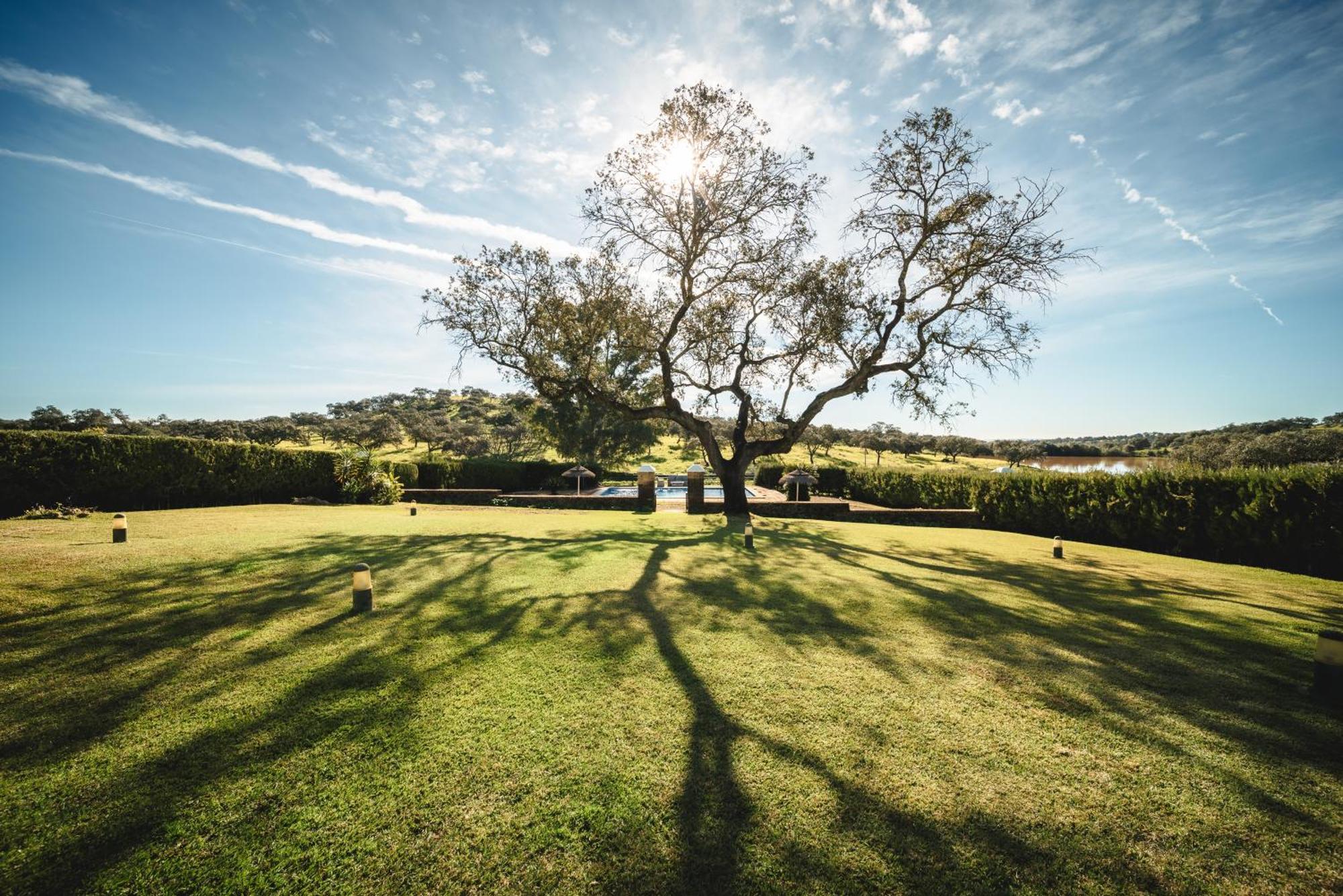 Alojamiento Rural Finca Barral El Garrobo ภายนอก รูปภาพ