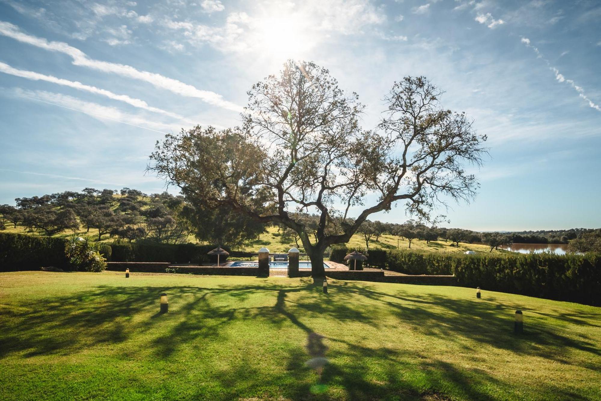 Alojamiento Rural Finca Barral El Garrobo ภายนอก รูปภาพ