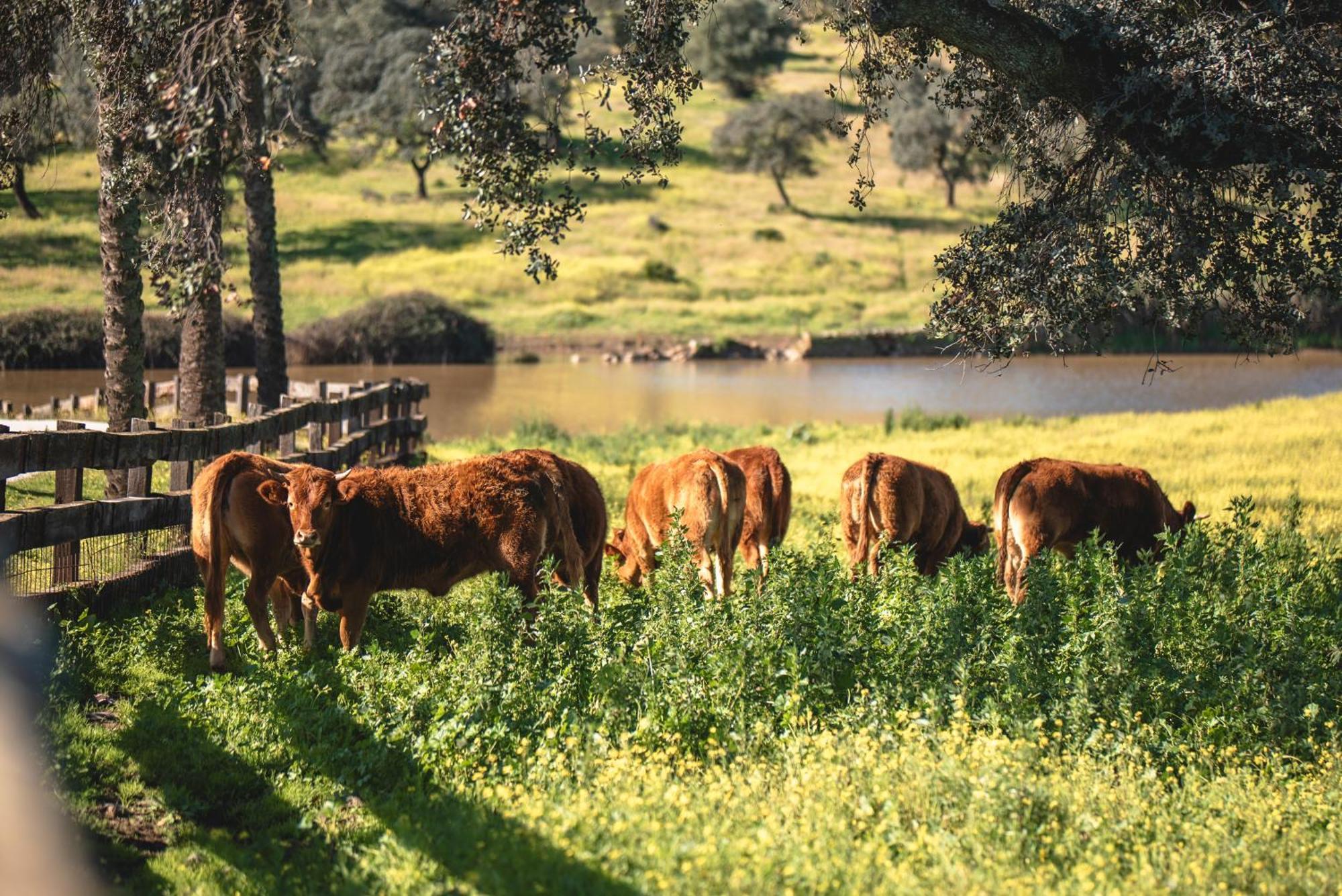 Alojamiento Rural Finca Barral El Garrobo ภายนอก รูปภาพ