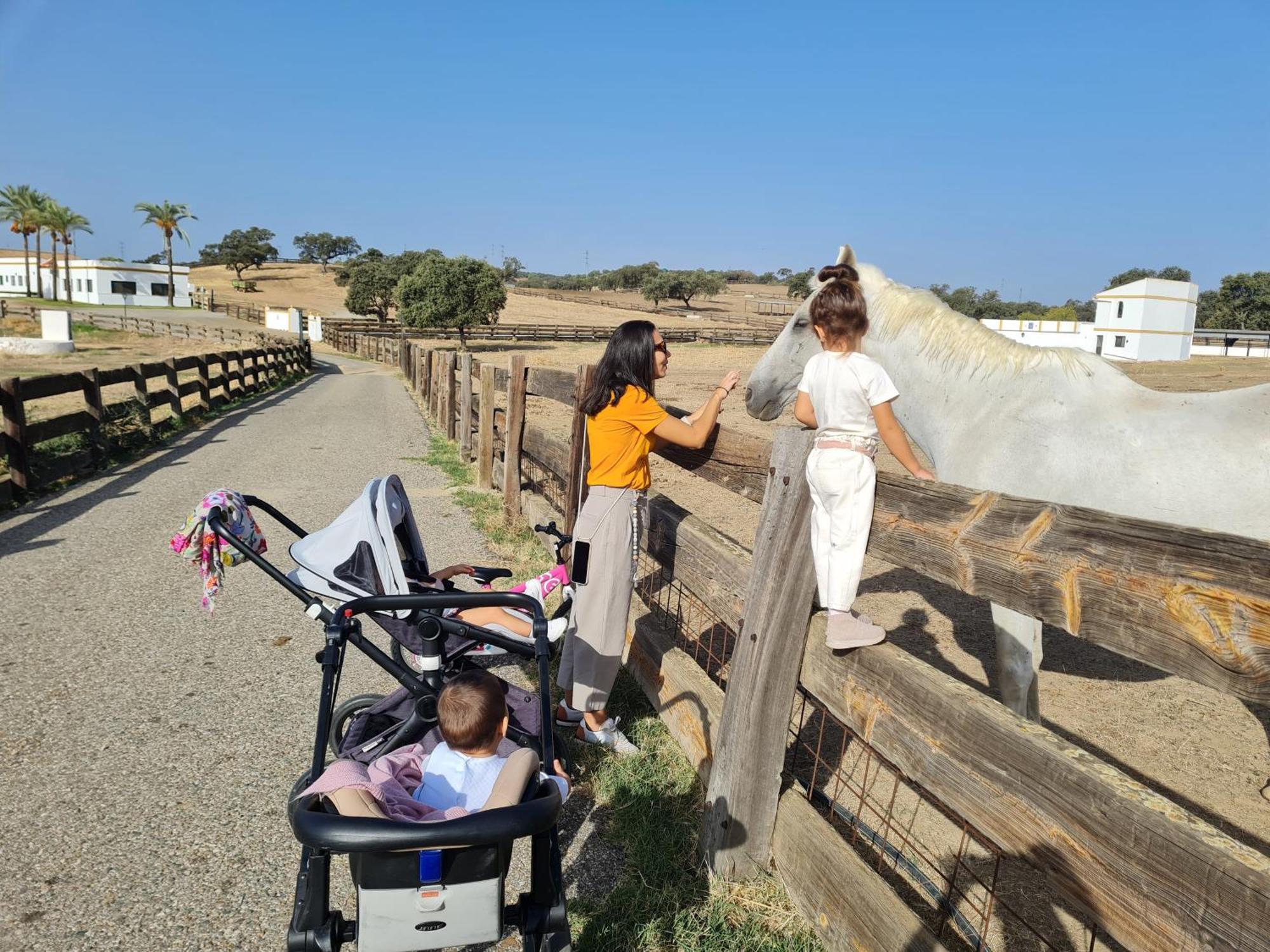 Alojamiento Rural Finca Barral El Garrobo ภายนอก รูปภาพ