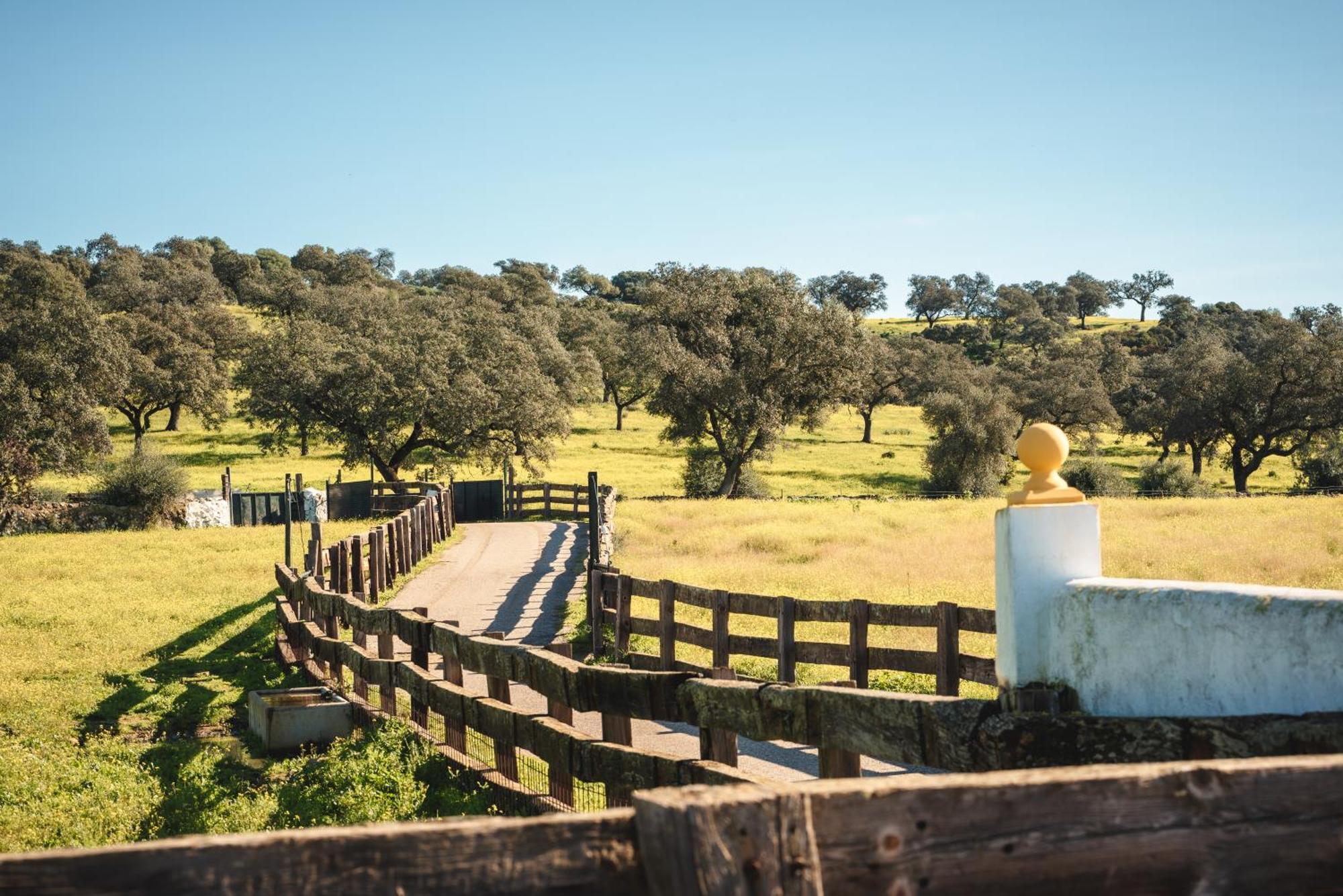 Alojamiento Rural Finca Barral El Garrobo ภายนอก รูปภาพ