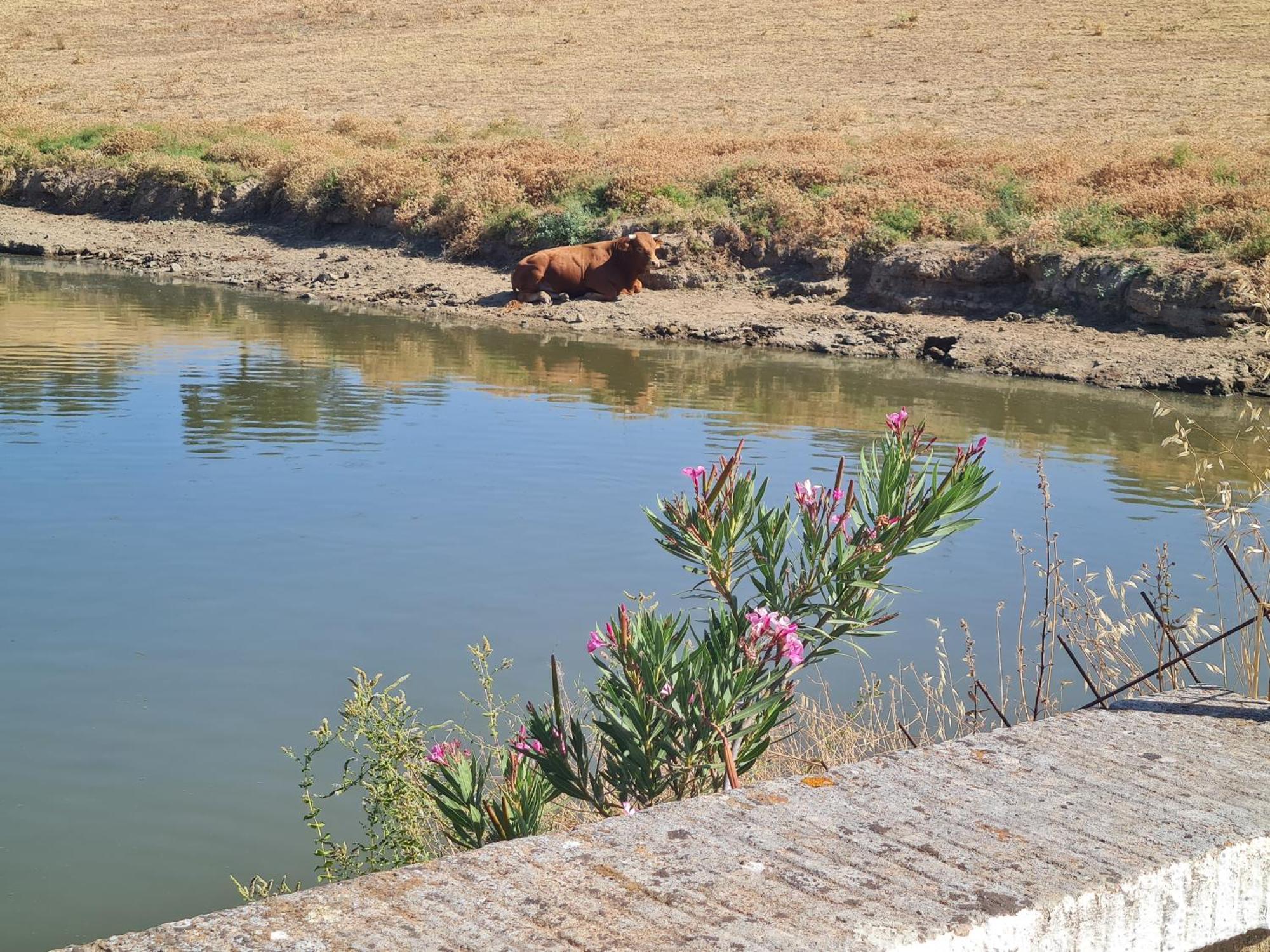 Alojamiento Rural Finca Barral El Garrobo ภายนอก รูปภาพ